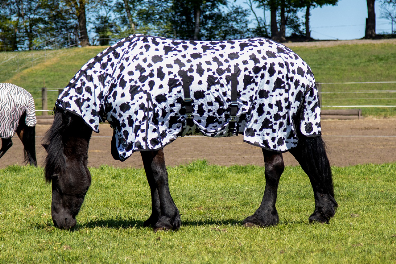 Fliegendecke mit Halsteil "Cow", schwarz/weiß