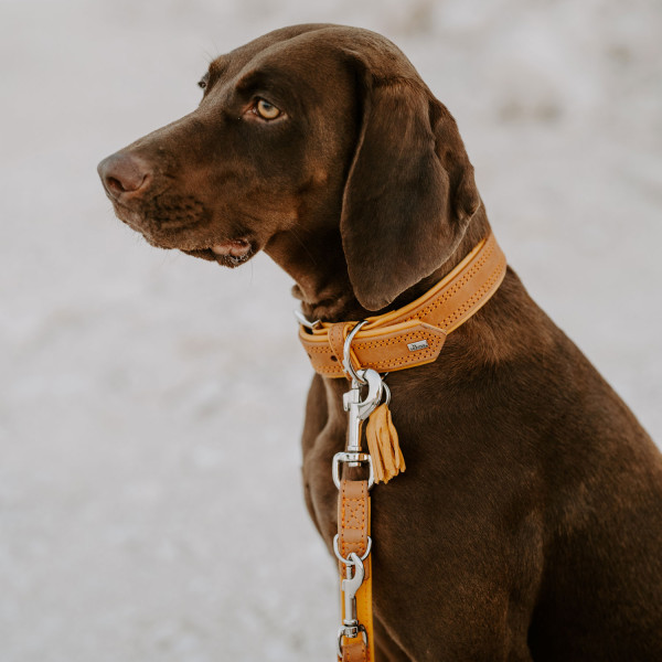 Hunter Halsband Lucca