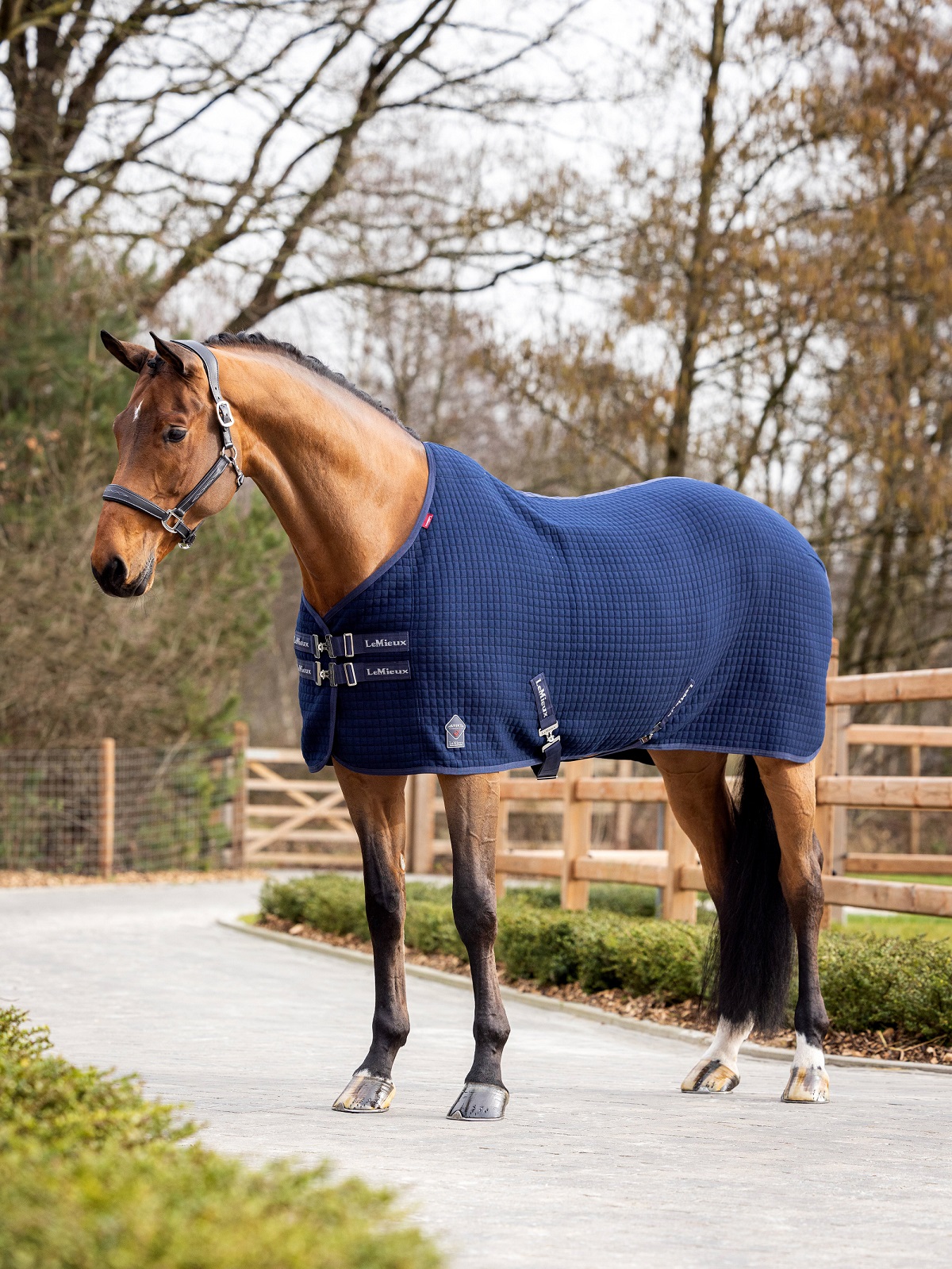 LeMieux Arika Clima-Tek Rug, Abschwitzdecke