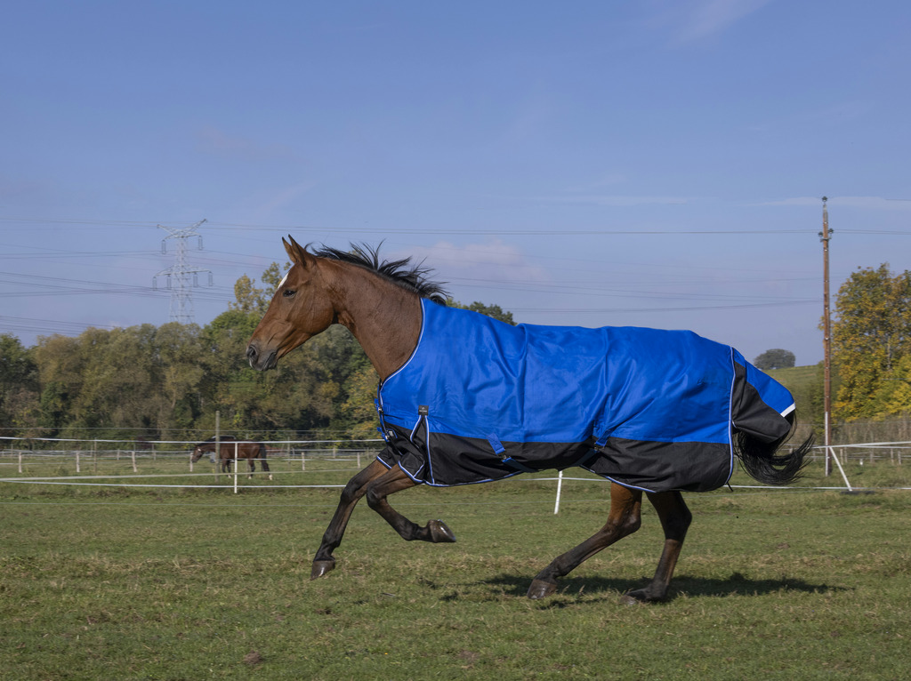 EQUITHÈME TYREX 1200D "Aisance" High Neck Decke, 0g Füllung, Pferdedecke, blau/schwarz, Weidedecke