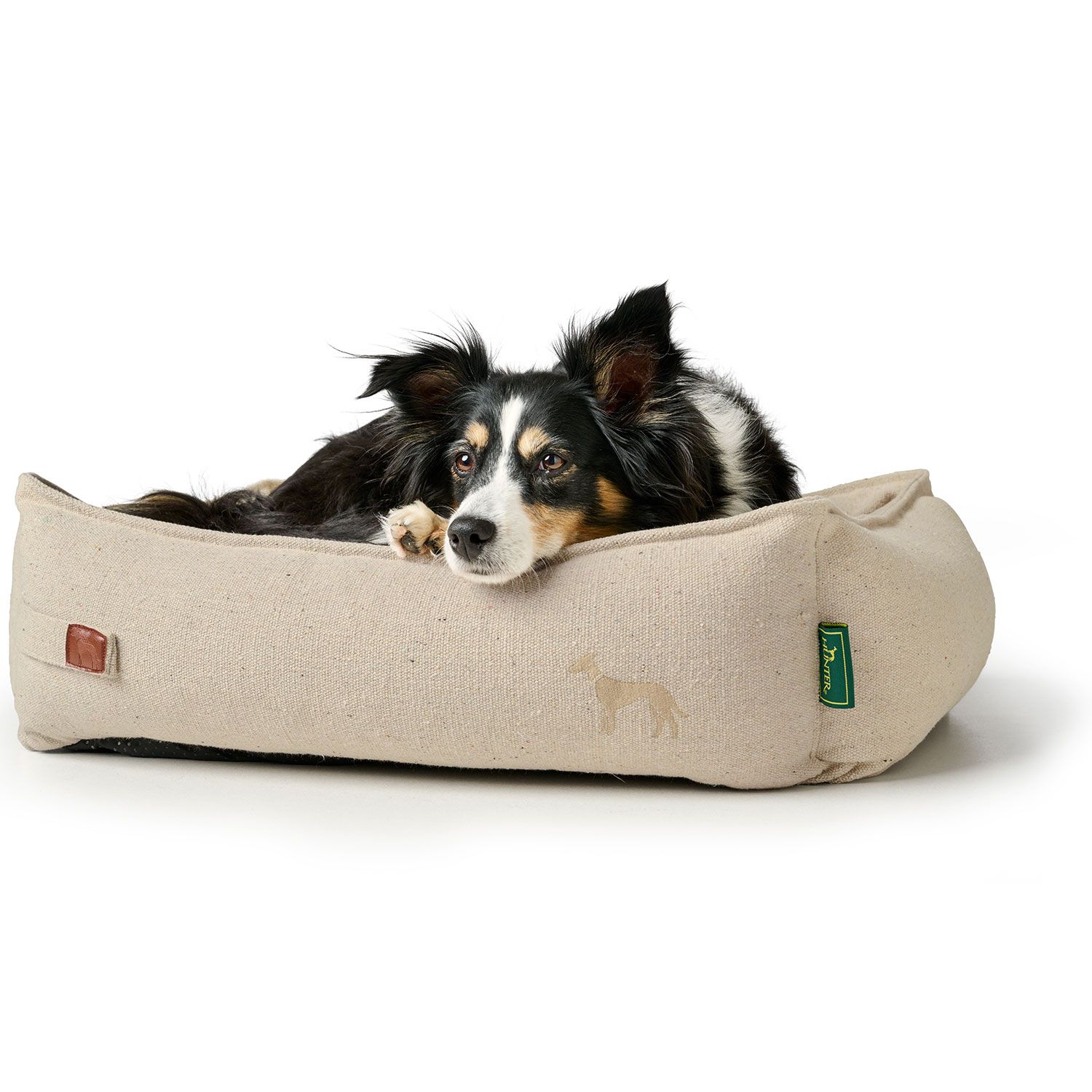 Recycling Hundesofa Belluno