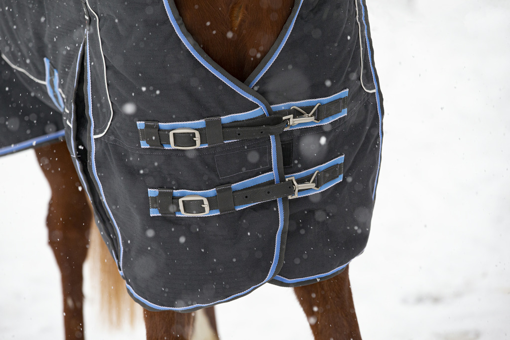 EQUITHÈME "TYREX 1200D" 8000/8000 High-Neck-Decke, 300g Füllung, Pferdedecke, grau/blau, Weidedecke