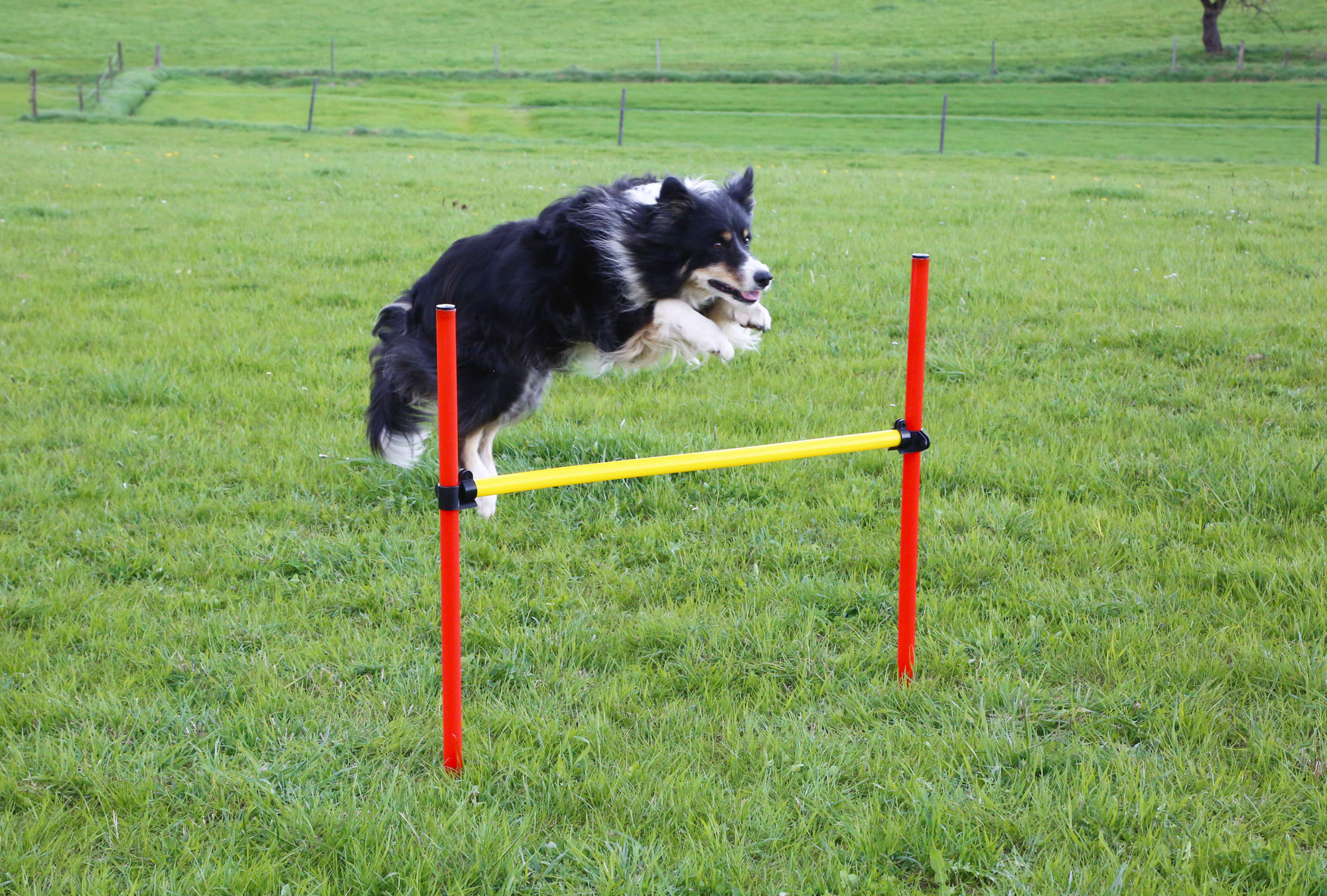 Kerbl Komplett-Set "Agility", rot/gelb