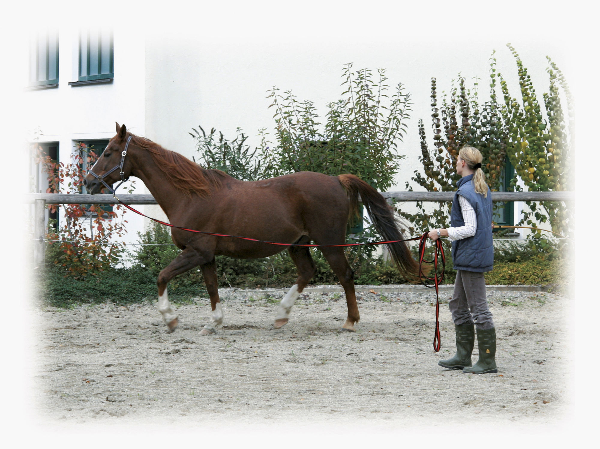 Covalliero Softlonge, 8 m