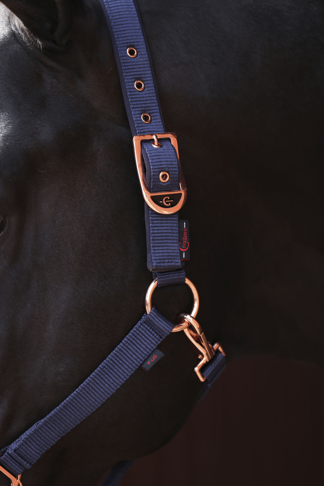 Covalliero Halfter Classy