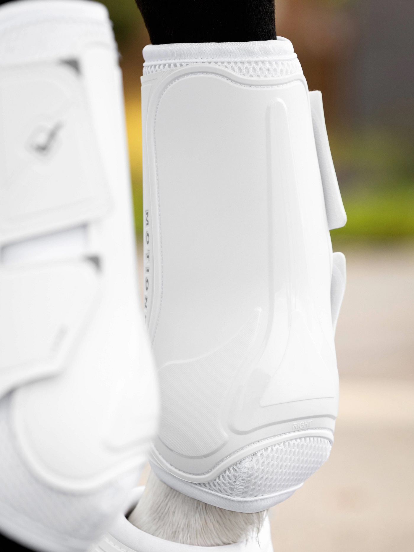 LeMieux Motionflex Dressage Boot, Dressurgamaschen, Gamaschen