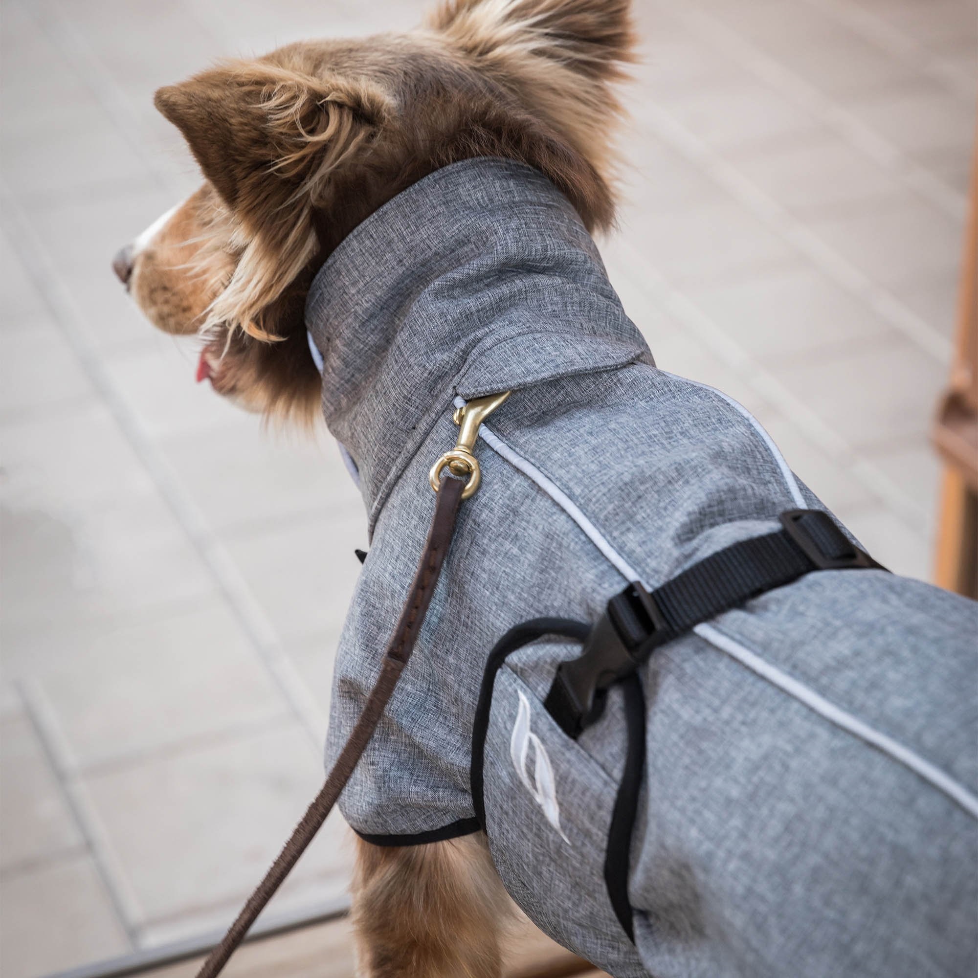 Back on Track Hundemantel Nella, grau