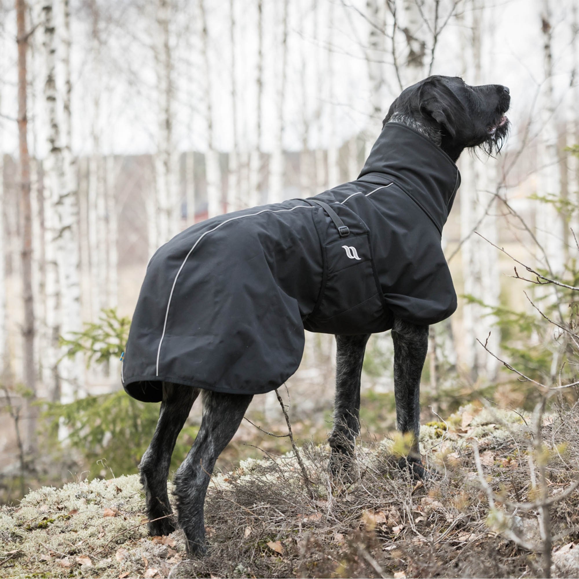 Back on Track Hundemantel Nella, schwarz