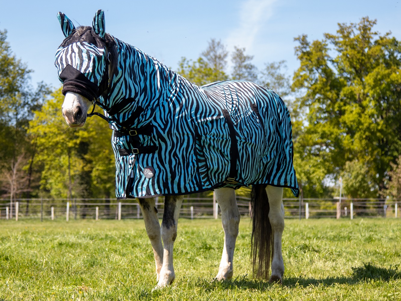 Fliegendecke "Zebra Aqua", aqua/schwarz