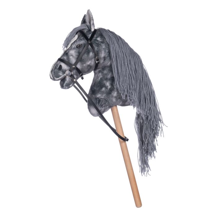 HKM Hobby Horse Set,Malbuch und Hobby Horses Steckenpferde "Deluxe"