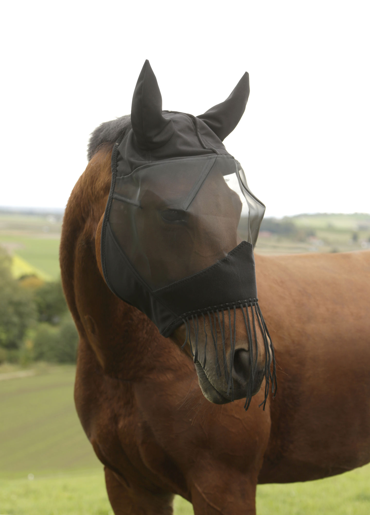 Covalliero Fliegenschutzmaske mit Ohrenschutz und Nüsternkordel, schwarz