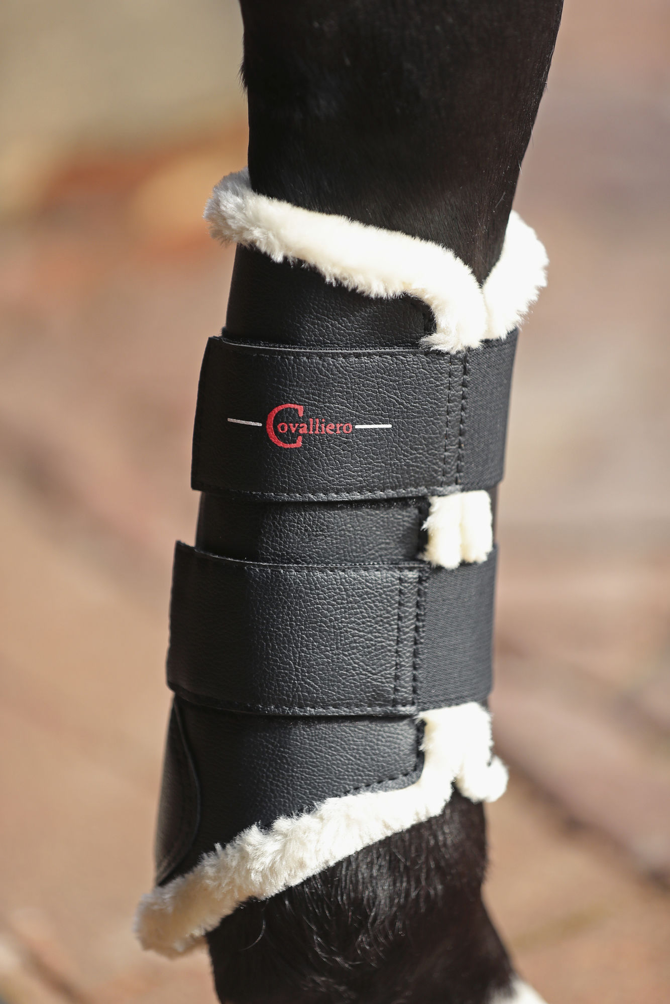 Covalliero Dressurgamaschen, Fleece, vorne