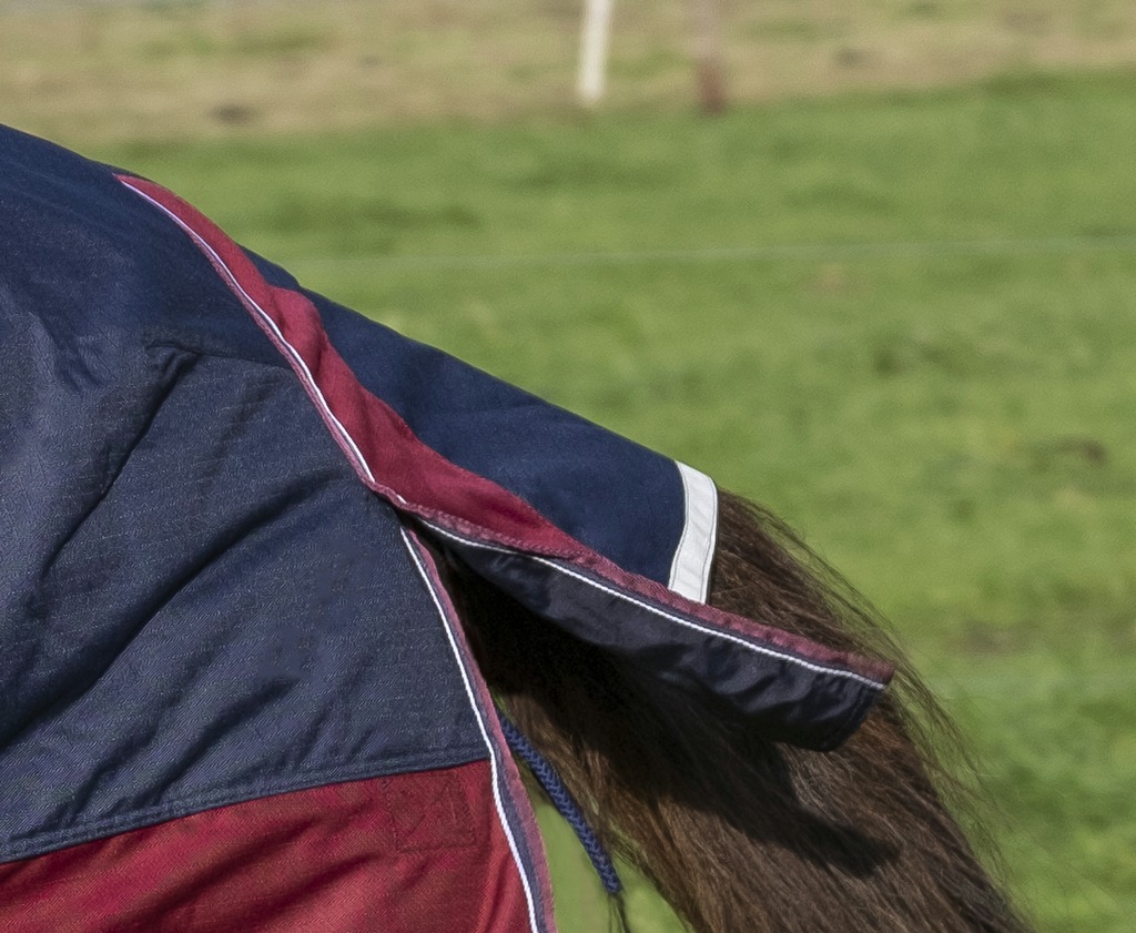 EQUITHÈME "TYREX 1200D" High-Neck Decke, 300g Füllung, marineblau/bordeaux, Weidedecke, Pferdedecke