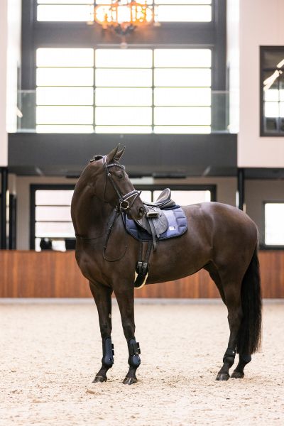 Imperial Riding Streichkappen IRHLovely