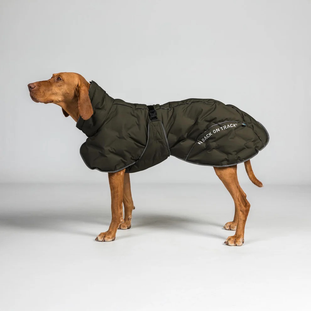 Back on Track  Thermo-Hundemantel "BAY",Niedriger Rutenansatz,Sale