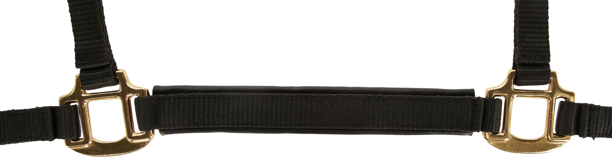 Covalliero Fohlenhalfter TopLine