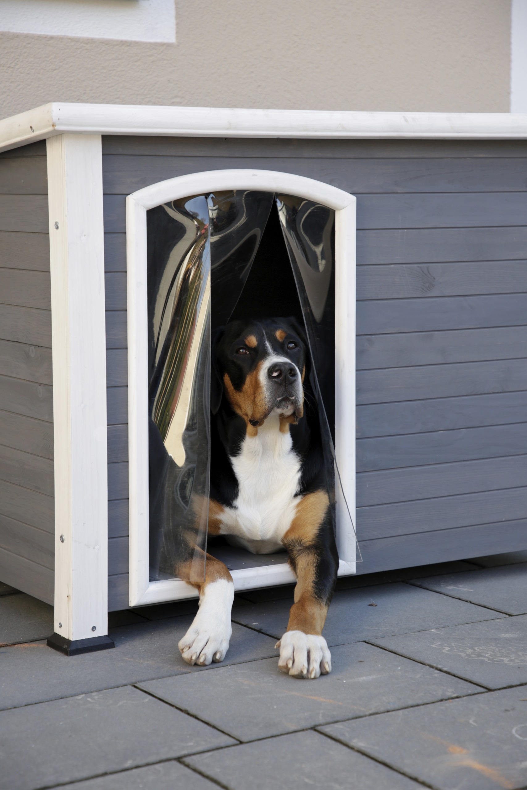 Kerbl Hundehütte "Kenny", 113 x 77 x 81 cm, weiß/grau