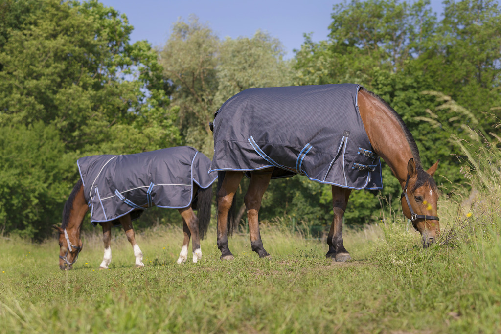 EQUITHÈME "TYREX 1200D" 8000/8000 Decke, 300g Füllung, Pferdedecke, grau/blau, Weidedecke