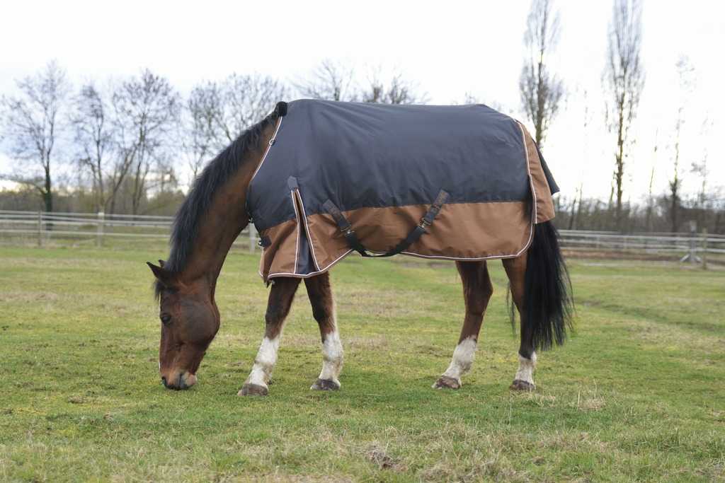 EQUITHÈME TYREX 600D "Aisance" Decke, 300g Füllung, Pferdedecke, grau/braun, Weidedecke
