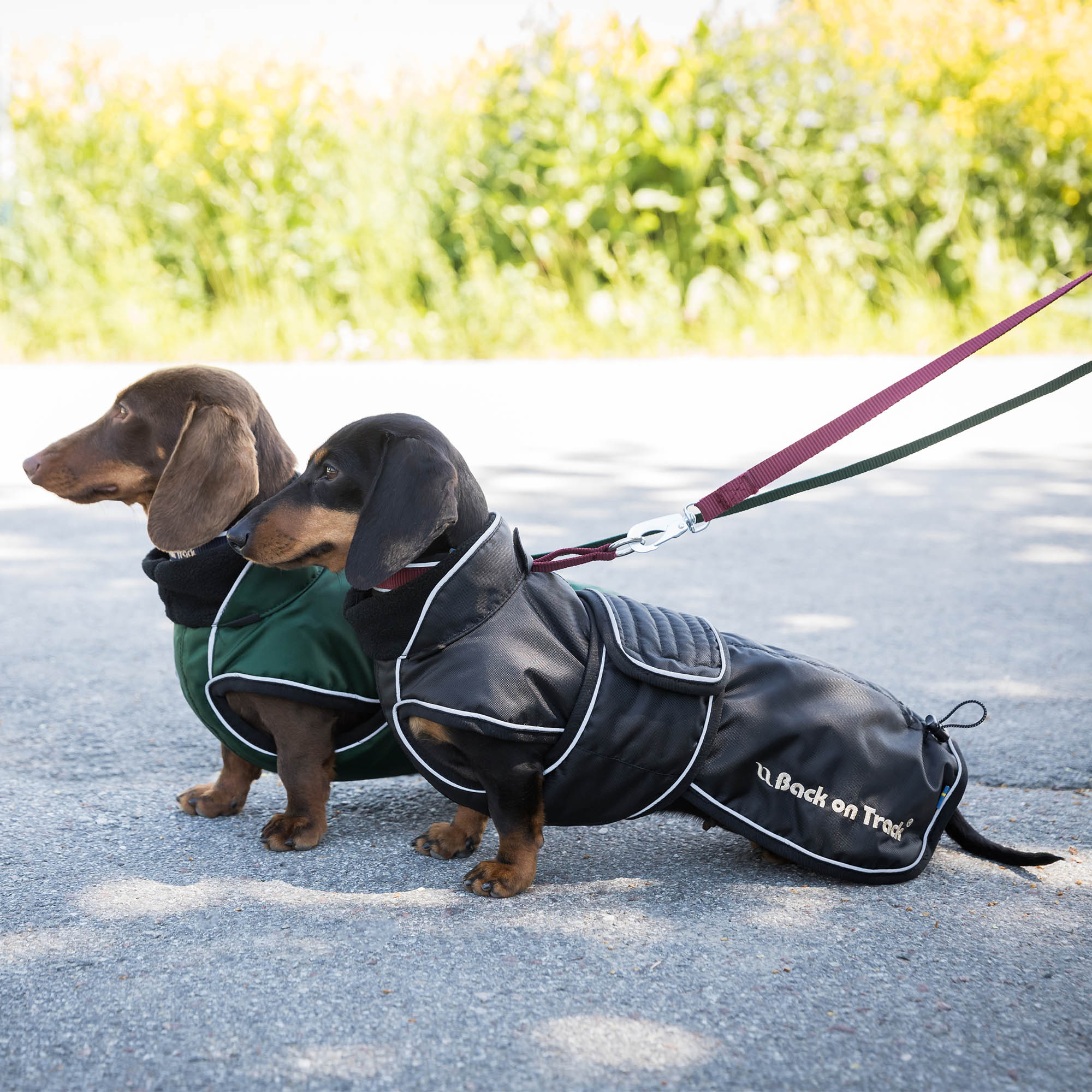 Back on Track Buddy Hundemantel
