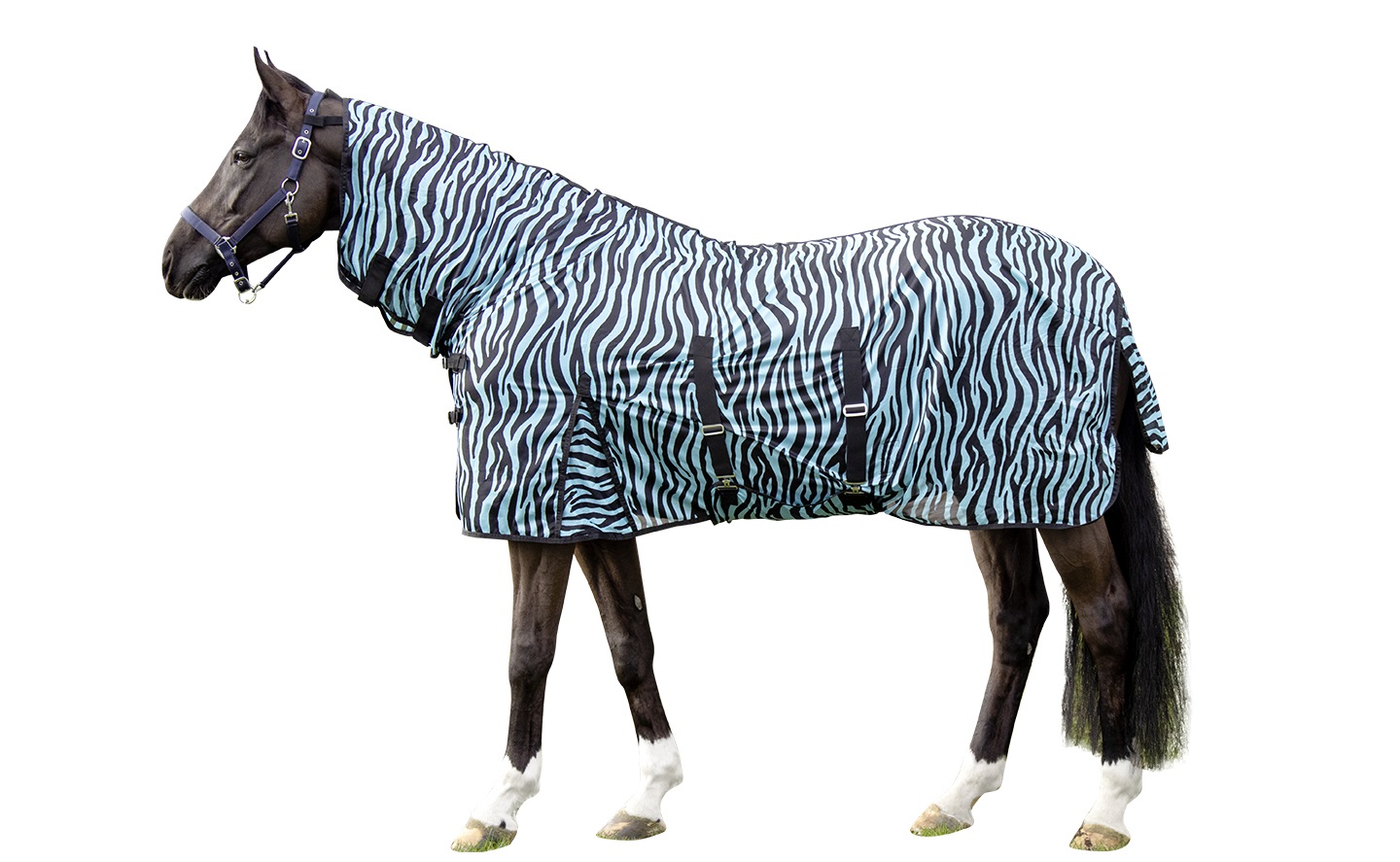Fliegendecke "Zebra Aqua", aqua/schwarz