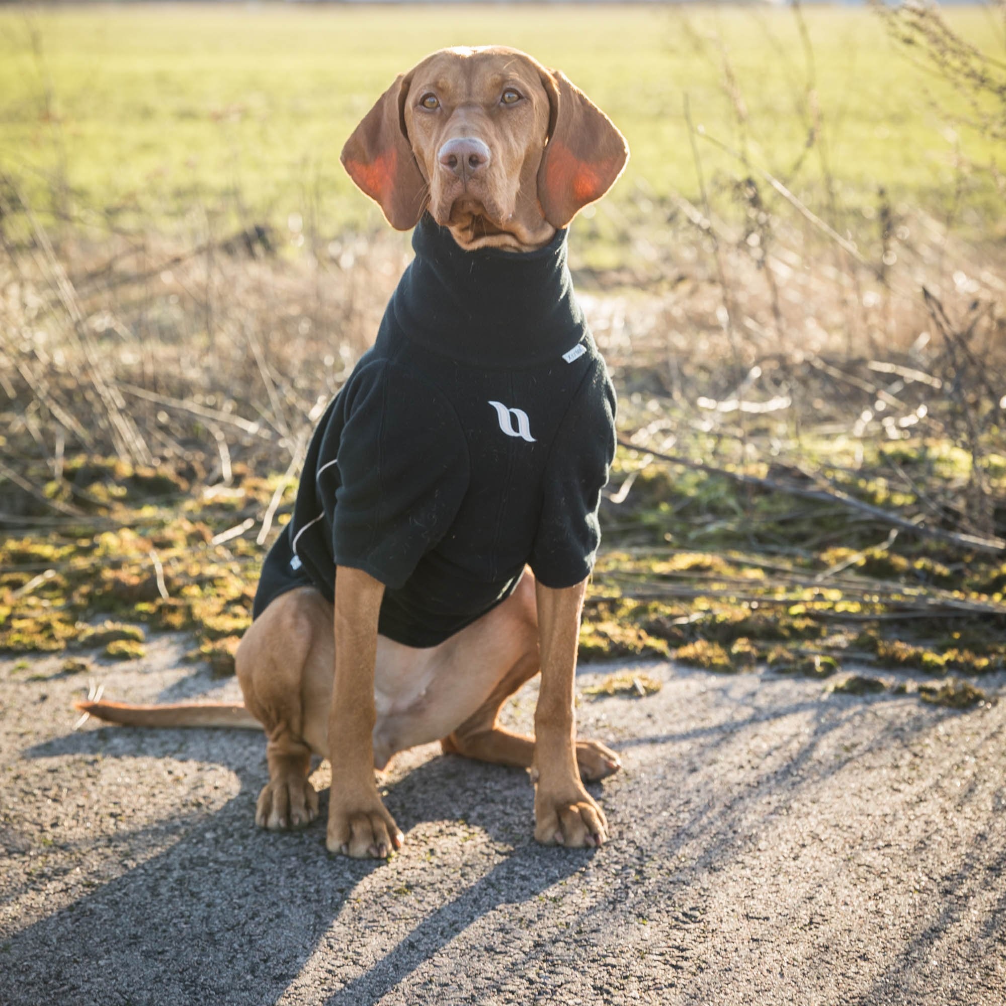 Back on Track Allwetter Hundepullover Cassie, schwarz, Fleece