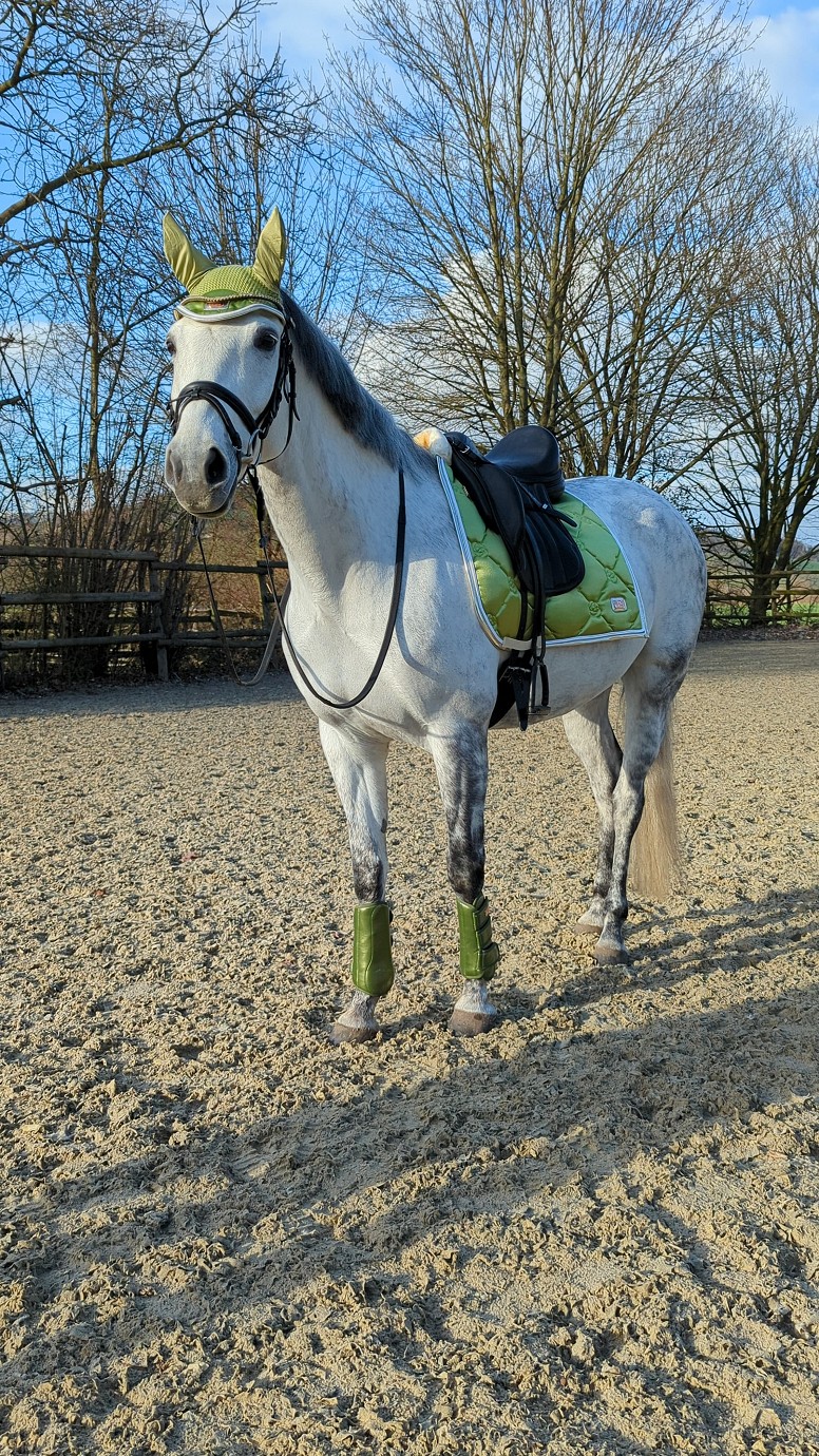 HKM Fliegenmütze "Edinburgh",Warmblut, vanille,Sale
