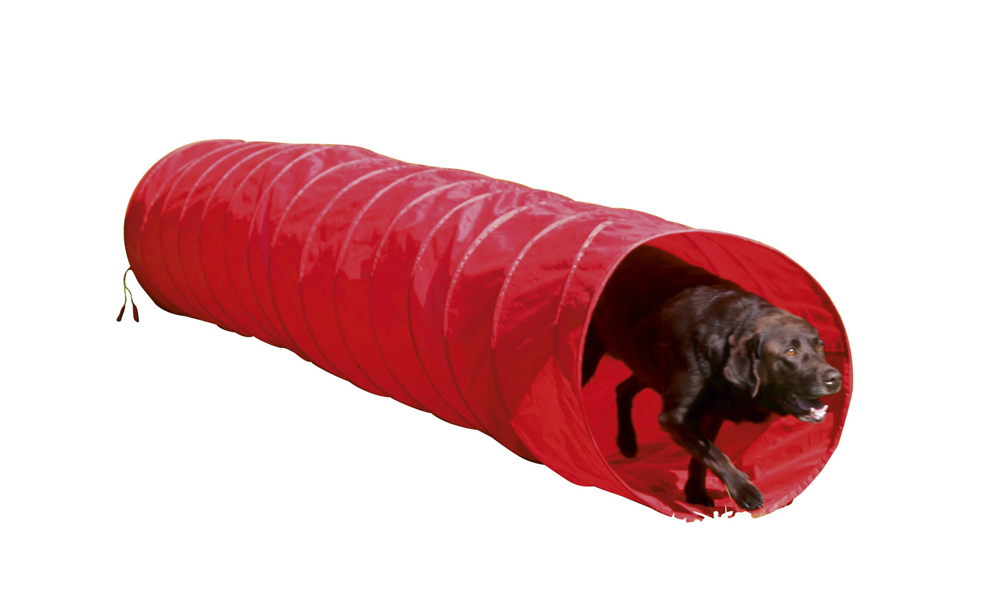 Kerbl Hundetunnel "Agility", rot, 5 m lang, 60 cm Durchmesser