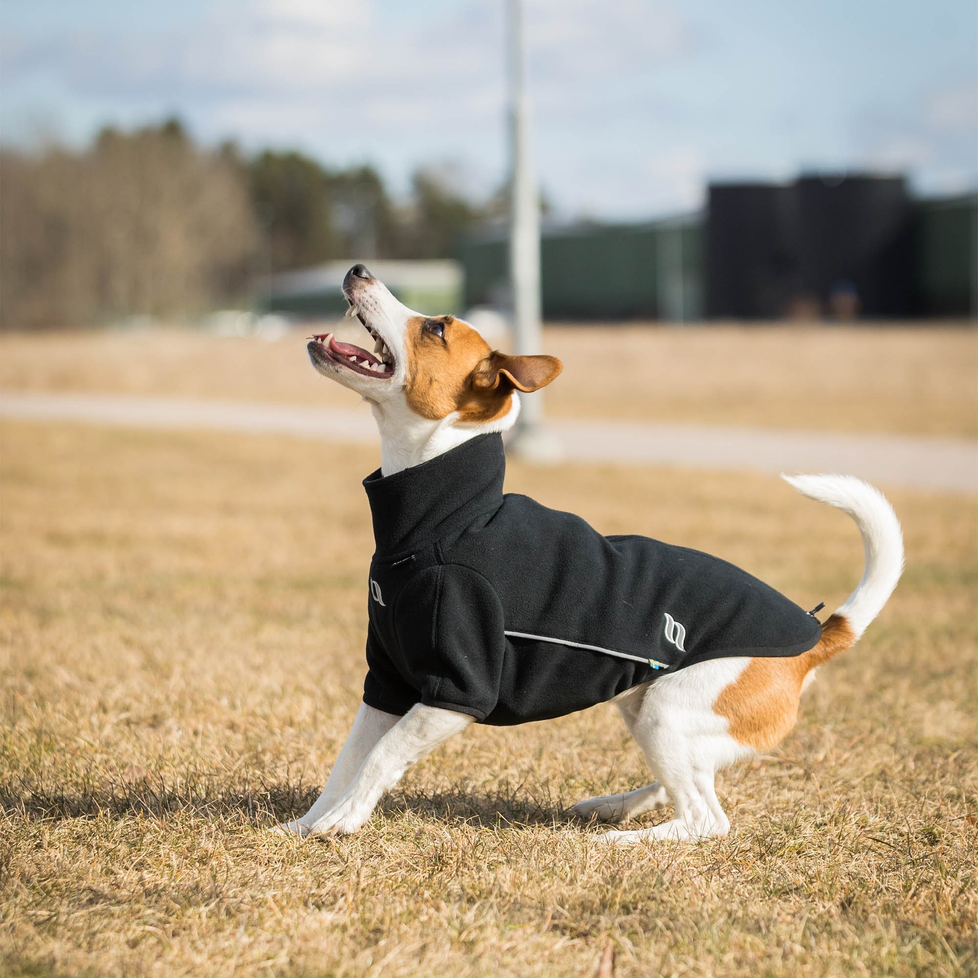 Back on Track Allwetter Hundepullover Cassie, schwarz, Fleece