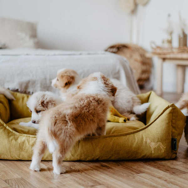 Hunter Hundesofa Eiby
