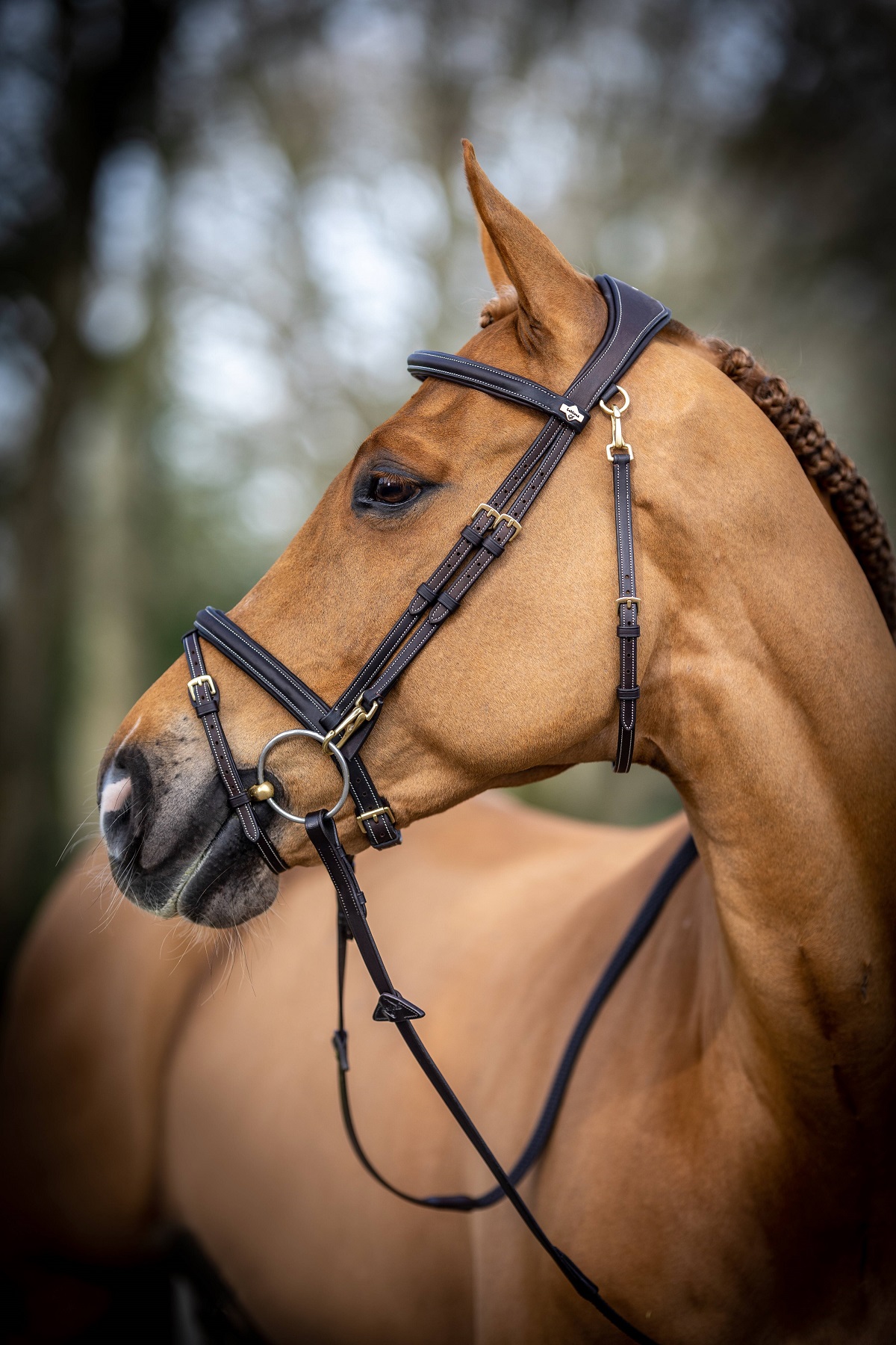 LeMieux Work Bridle, Arbeitstrense, Trense