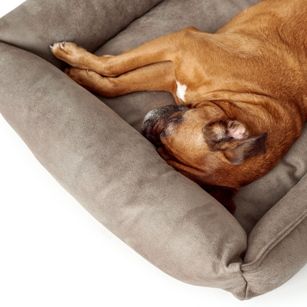 Hunter Hundesofa Bologna