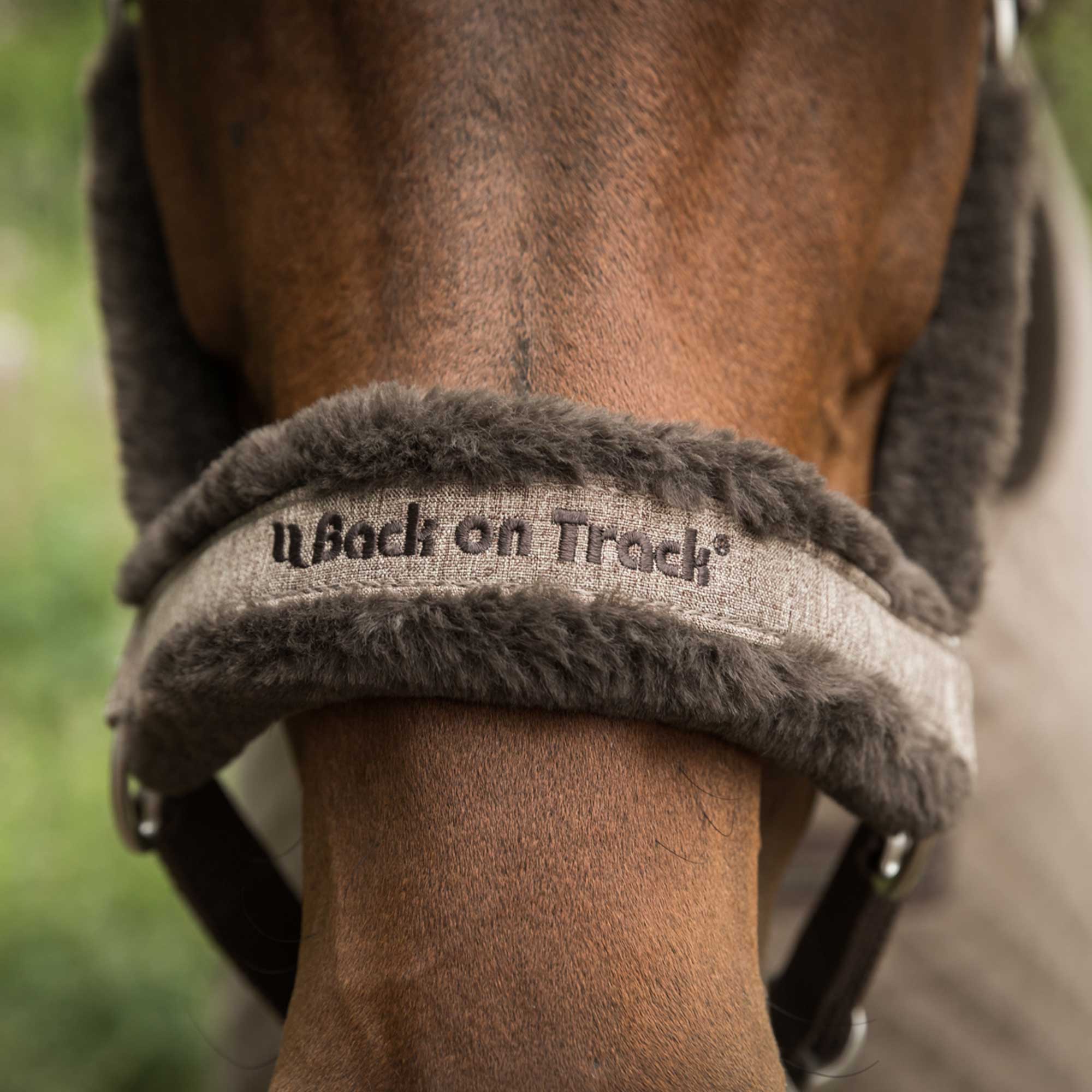 Back on Track Haze Collection Halfter