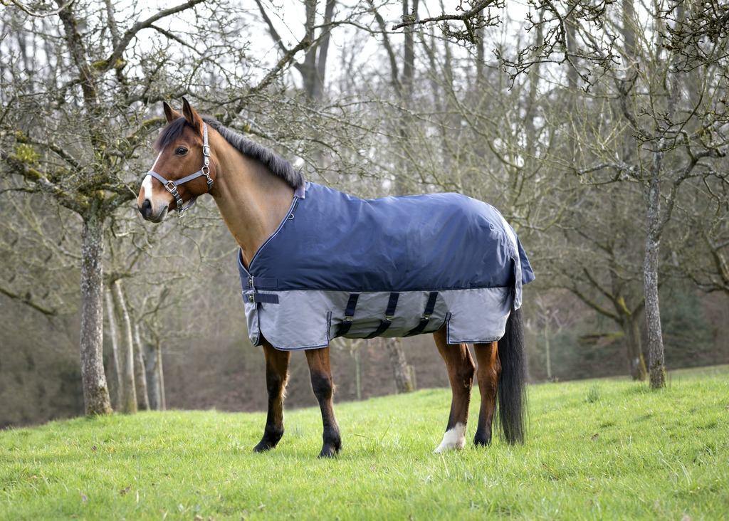 EQUITHÈME "TYREX 600D" Belly Belt Decke, 300g Füllung, Pferdedecke, marineblau/grau, Weidedecke
