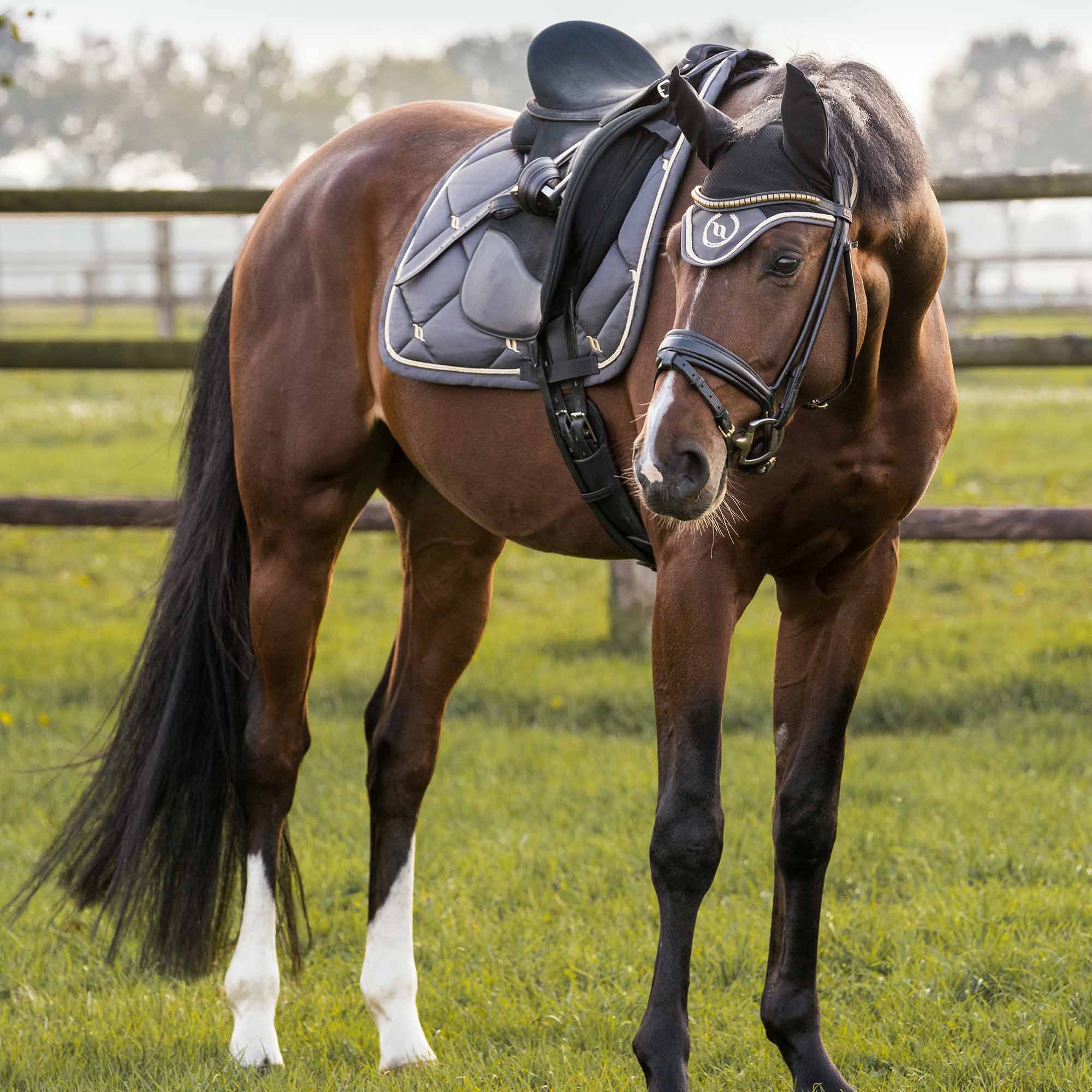Back on Track Nights Collection Schabracke Dressur, Graphit