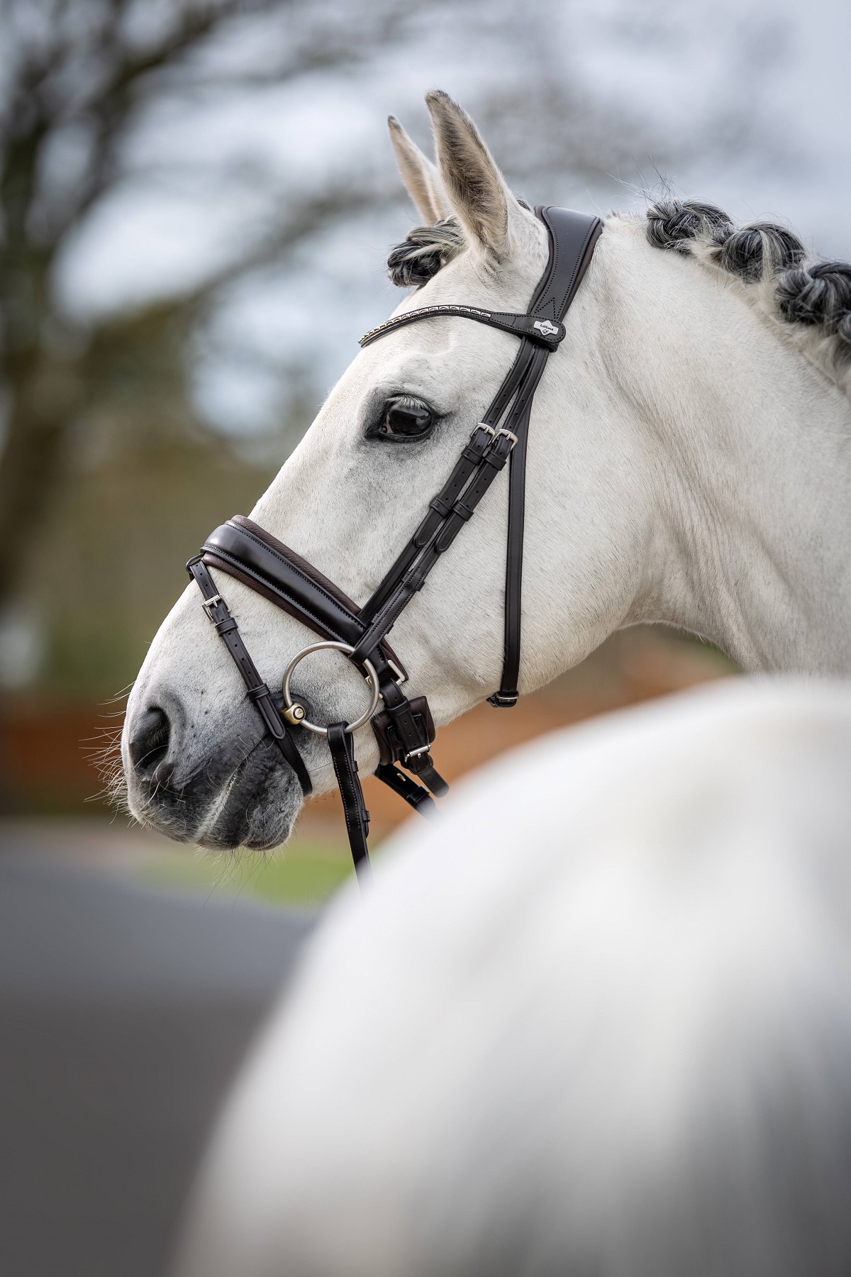 LeMieux Kudos Classic Dressage Bridle, Dressurtrense, Trense