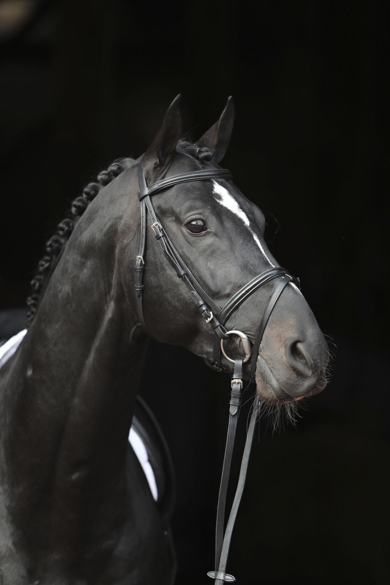 Covalliero Trensenzaum Standard, Leder, schwarz