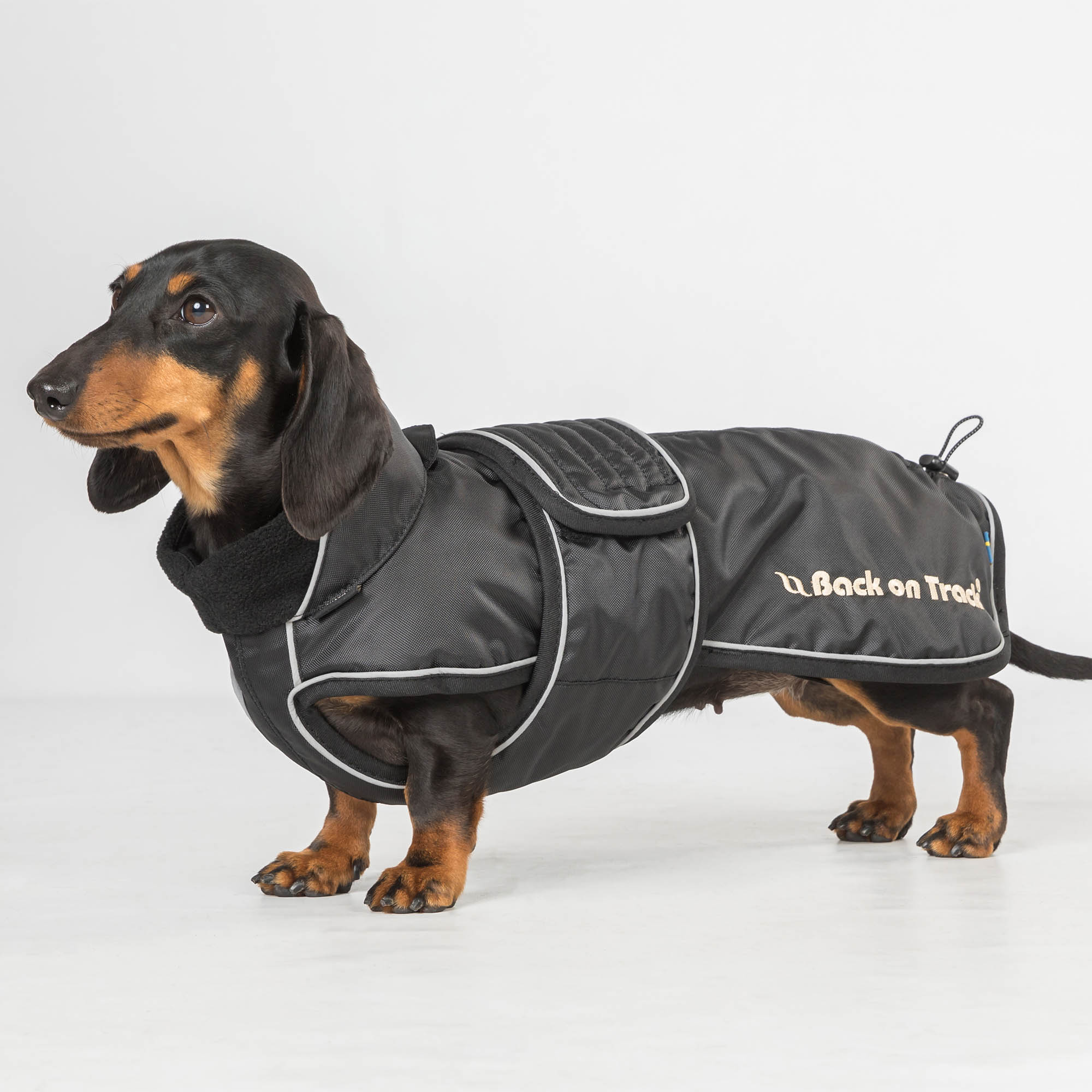 Back on Track Buddy Hundemantel