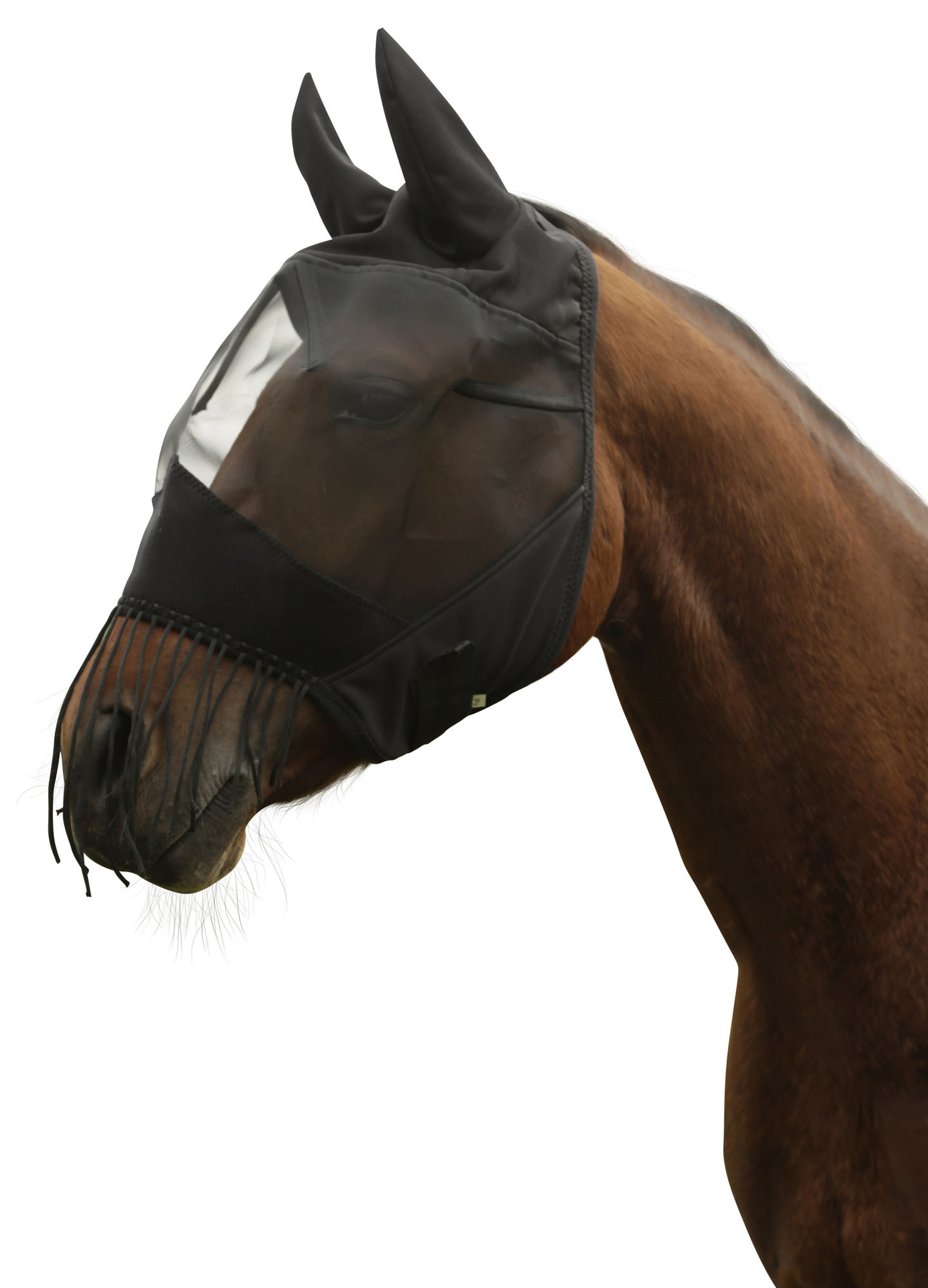 Covalliero Fliegenschutzmaske mit Ohrenschutz und Nüsternkordel, schwarz