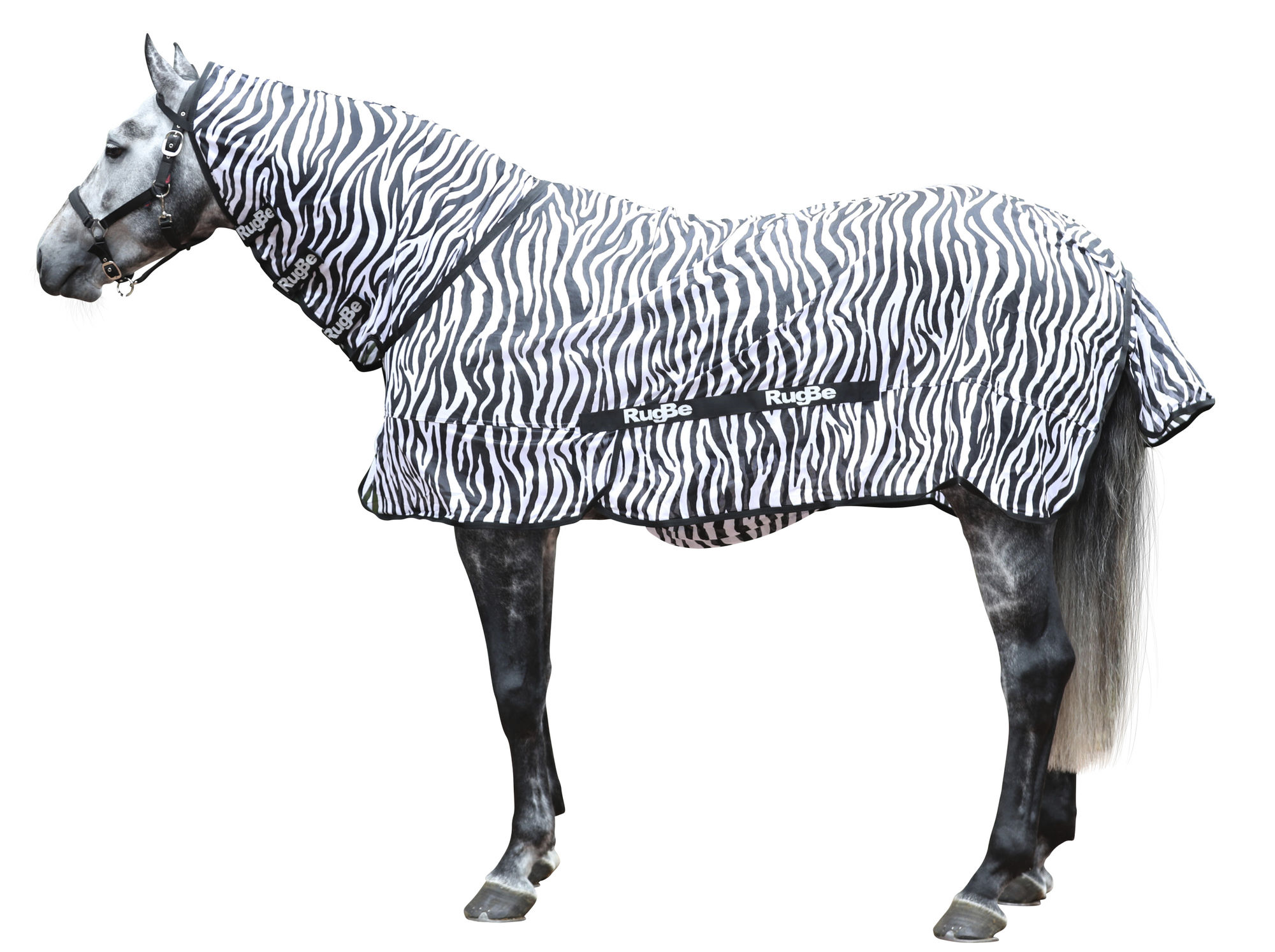 Covalliero Fliegendecke Zebra, weiß/schwarz, inkl. Halsteil