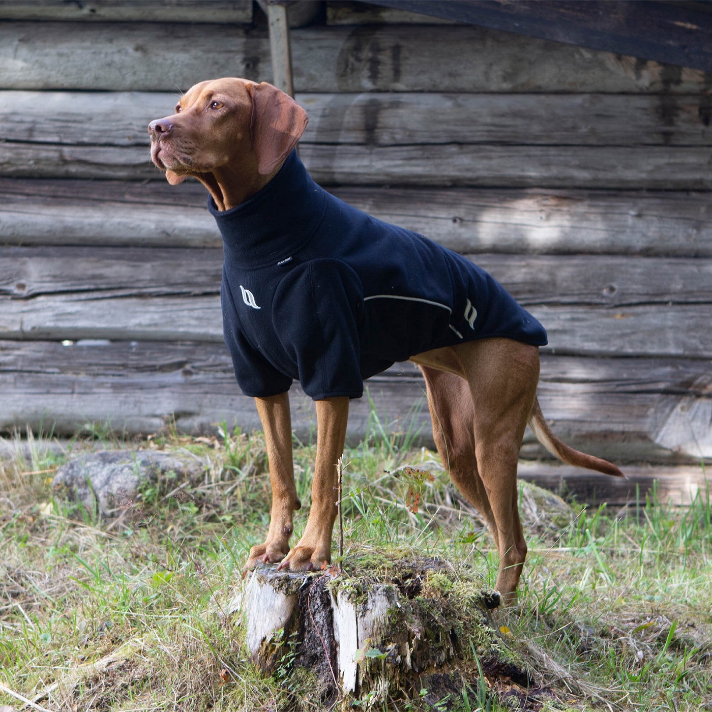 Back on Track Allwetter Hundepullover Cassie, schwarz, Fleece