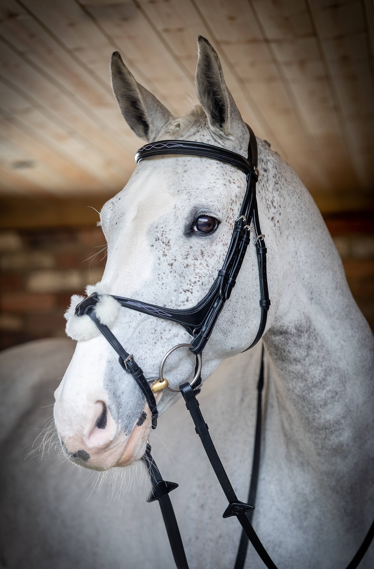 LeMieux Kudos Grackle Bridle, Arbeitstrense, Trense