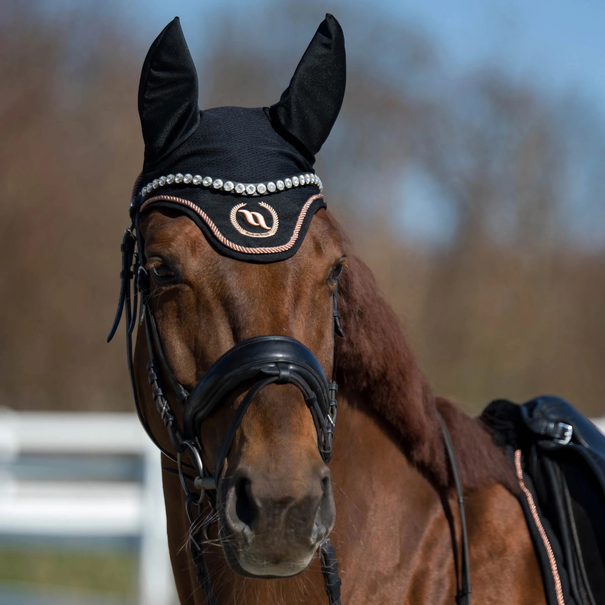 Back on Track Haze Kollektion Fliegenohren, schwarz/rosegold