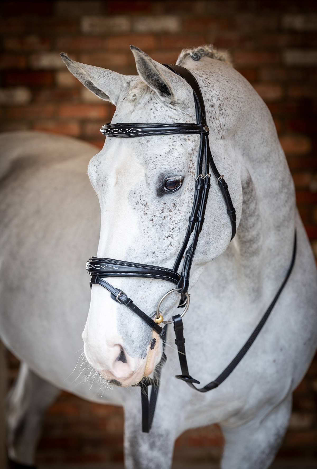 LeMieux Kudos Competition Flash Bridle, Turniertrense, Trense