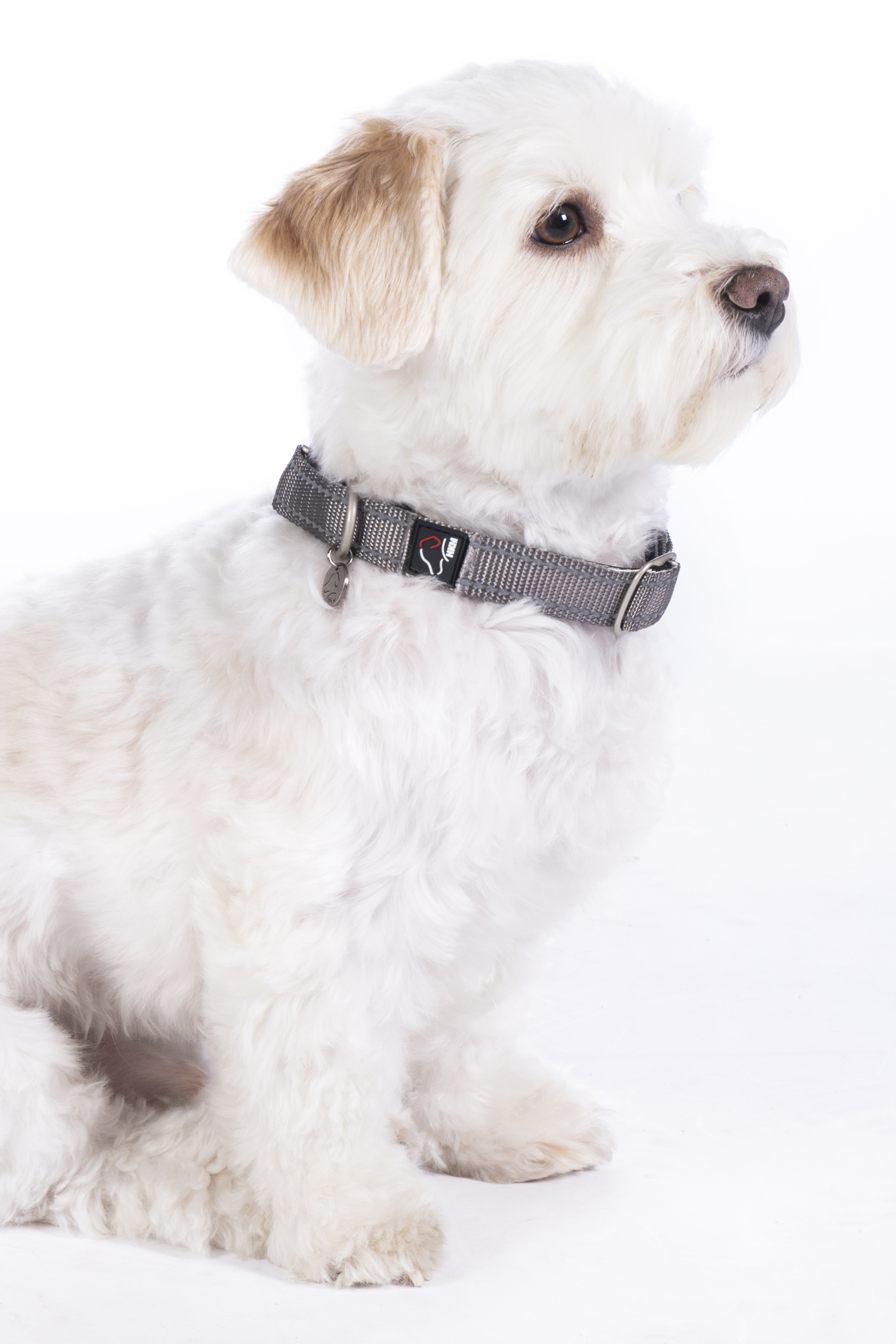 HKM Hundehalsband "Anam Cara" Nylon