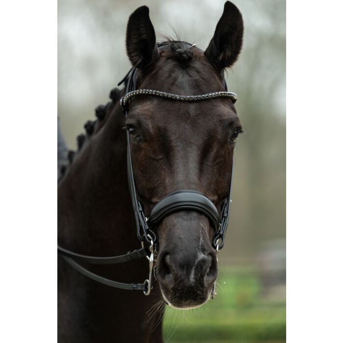 HKM Kandarenzaum "Grace"