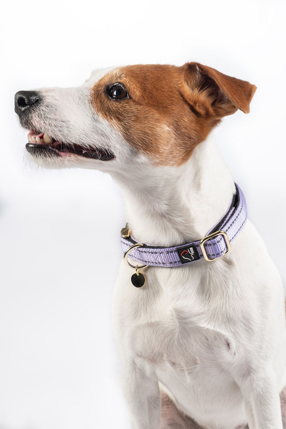 HKM Hundehalsband "Ida" Nylon,pistazie, S/M,Sale