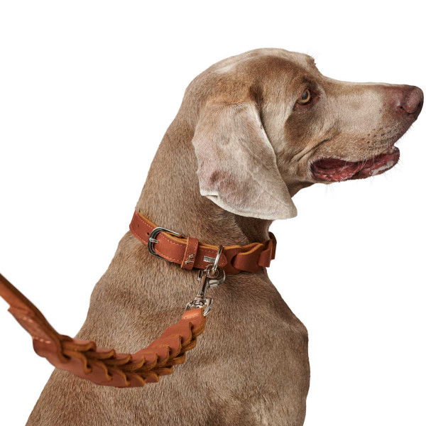 Hunter Halsband Solid Education Chain