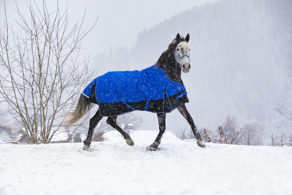 EQUITHÈME TYREX 1200D "Aisance" High Neck Decke, 0g Füllung, Pferdedecke, blau/schwarz, Weidedecke