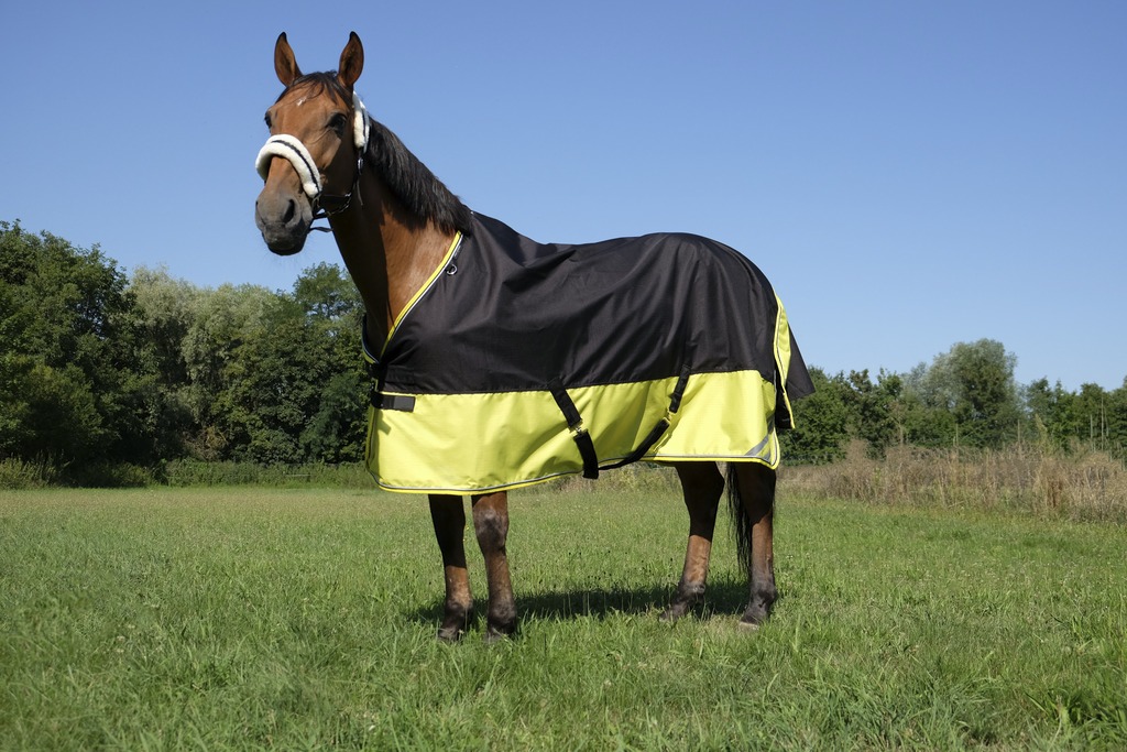 EQUITHÈME TYREX 600D "Reflective" Decke, 300g Füllung, Pferdedecke, schwarz/gelb, Weidedecke